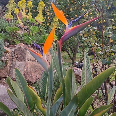 Villa Boheme Costa Brava Calonge  Esterno foto