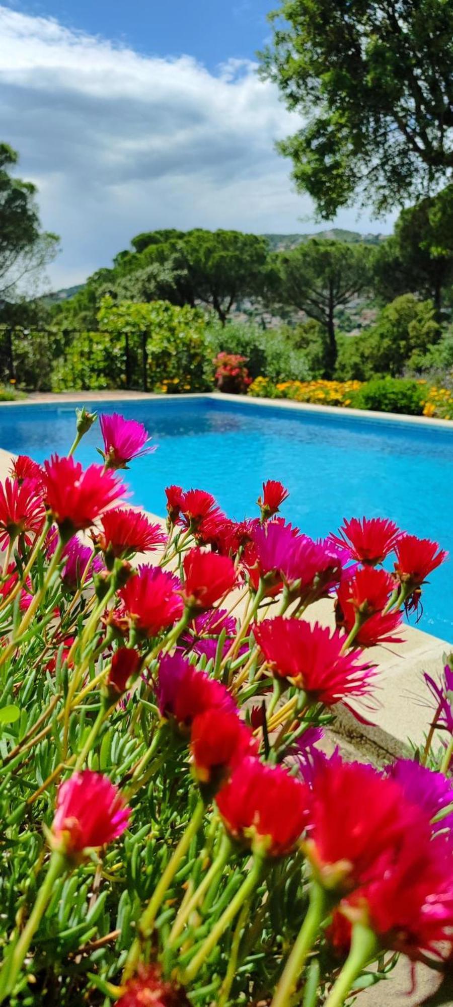 Villa Boheme Costa Brava Calonge  Esterno foto