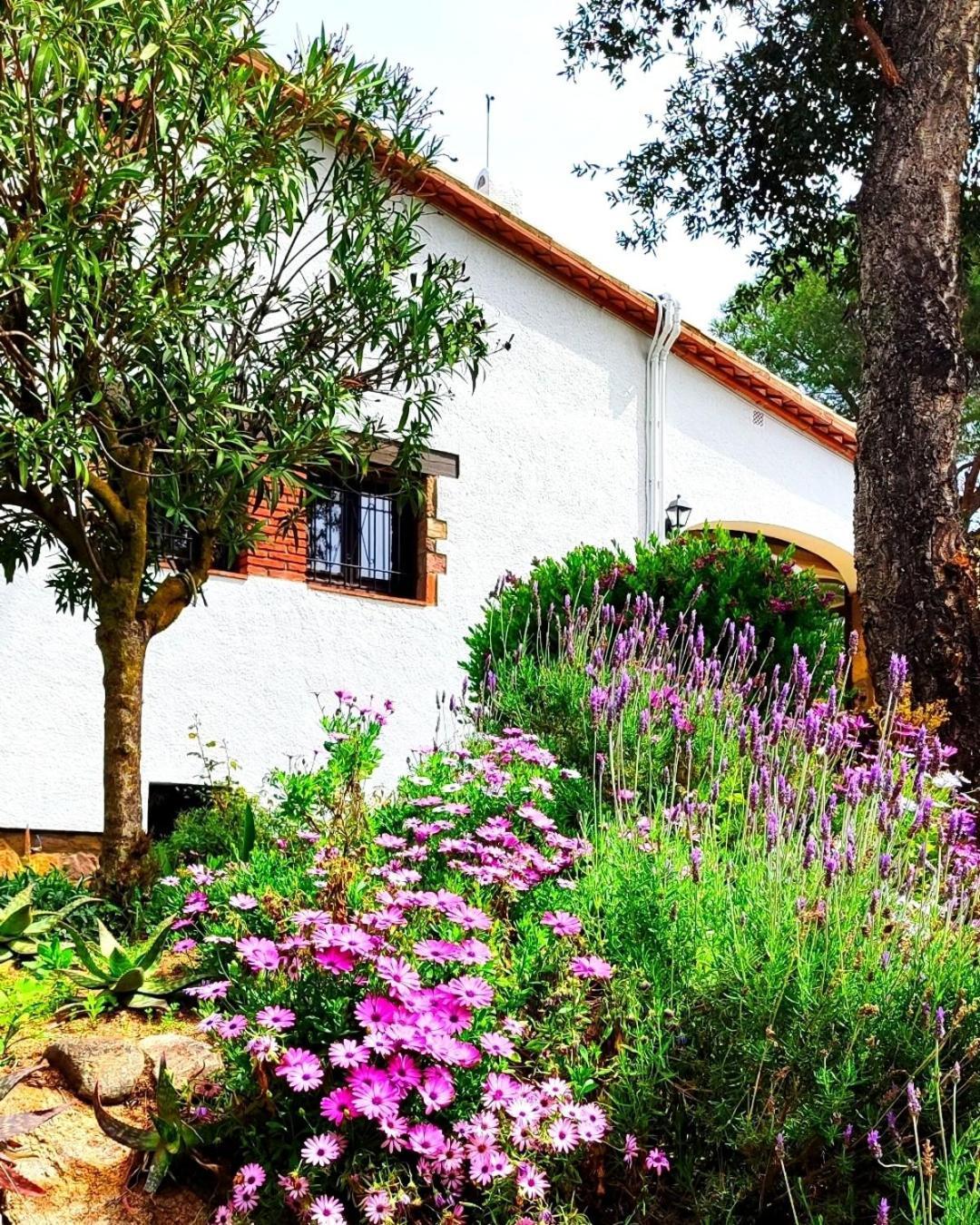 Villa Boheme Costa Brava Calonge  Esterno foto